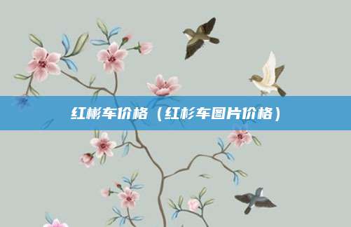 红彬车价格(红杉车图片价格)