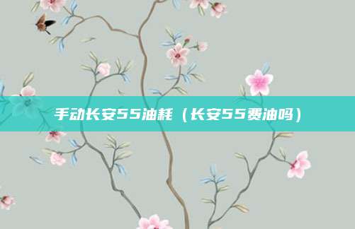 手动长安55油耗（长安55费油吗）