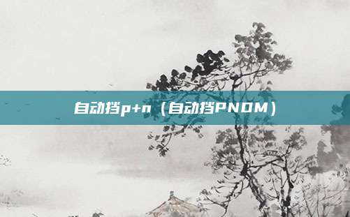 自动挡p+n(自动挡PNDM)
