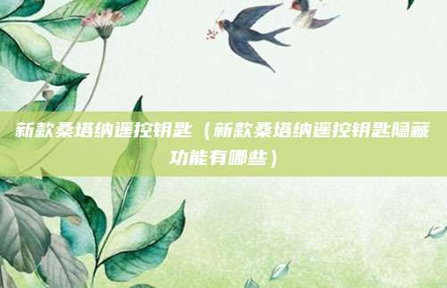 新款桑塔纳遥控钥匙(新款桑塔纳遥控钥匙隐藏功能有哪些)