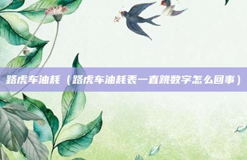 路虎车油耗(路虎车油耗表一直跳数字怎么回事)