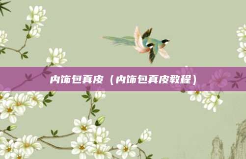 内饰包真皮(内饰包真皮教程)