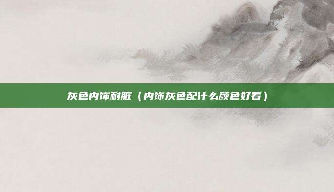 灰色内饰耐脏(内饰灰色配什么颜色好看)