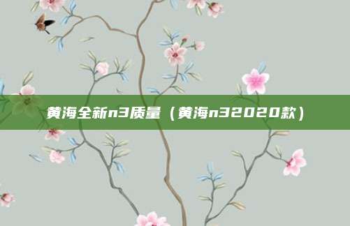 黄海全新n3质量(黄海n32020款)