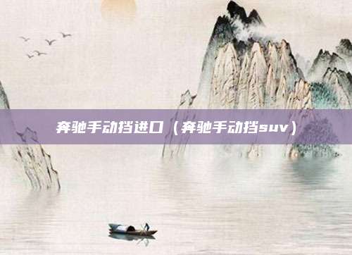 奔驰手动挡进口(奔驰手动挡suv)
