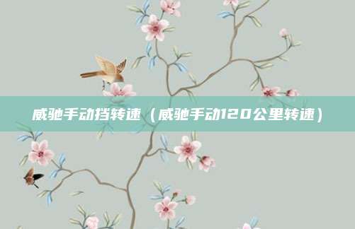 威驰手动挡转速（威驰手动120公里转速）
