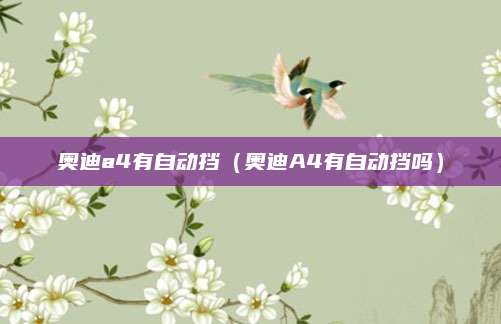 奥迪a4有自动挡(奥迪A4有自动挡吗)