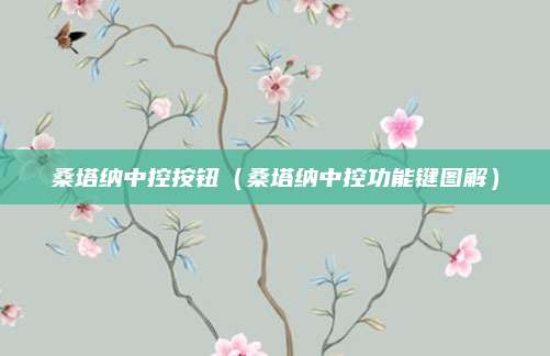 桑塔纳中控按钮(桑塔纳中控功能键图解)