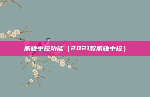威驰中控功能(2021款威驰中控)