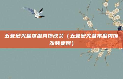 五菱宏光基本型内饰改装(五菱宏光基本型内饰改装案例)
