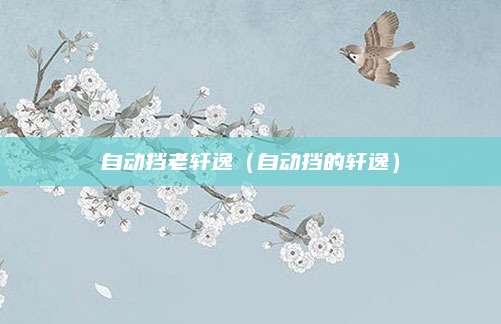自动挡老轩逸(自动挡的轩逸)