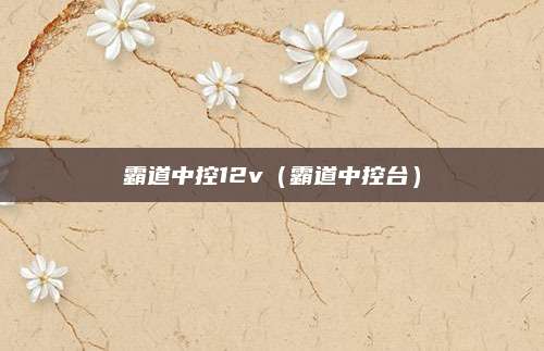 霸道中控12v(霸道中控台)