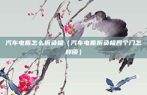 汽车电瓶怎么拆负极(汽车电瓶拆负极四个门怎样锁)