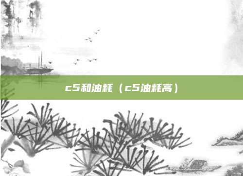 c5和油耗(c5油耗高)