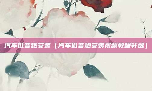汽车低音炮安装(汽车低音炮安装视频教程轩逸)