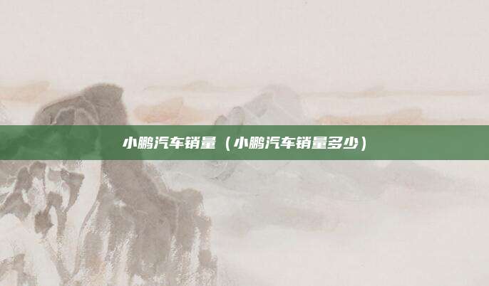 小鹏汽车销量(小鹏汽车销量多少)