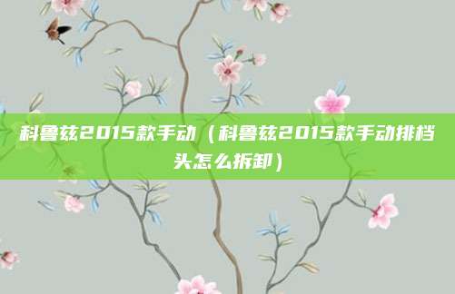 科鲁兹2015款手动(科鲁兹2015款手动排档头怎么拆卸)