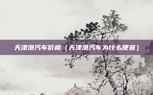 天津港汽车价格(天津港汽车为什么便宜)