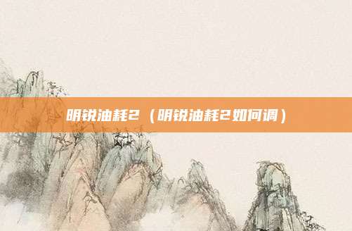 明锐油耗2(明锐油耗2如何调)