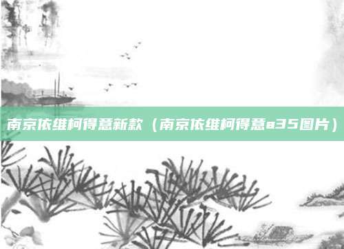 南京依维柯得意新款(南京依维柯得意a35图片)
