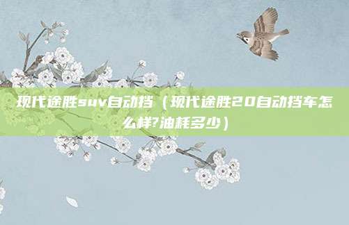 现代途胜suv自动挡（现代途胜20自动挡车怎么样?油耗多少）