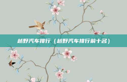 越野汽车排行(越野汽车排行前十名)