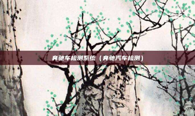 奔驰车检测系统(奔驰汽车检测)