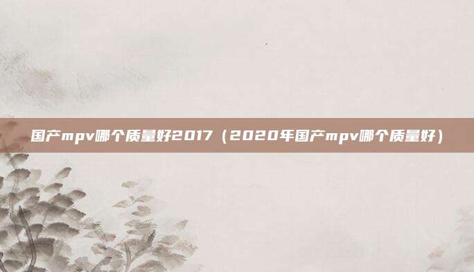 国产mpv哪个质量好2017(2020年国产mpv哪个质量好)