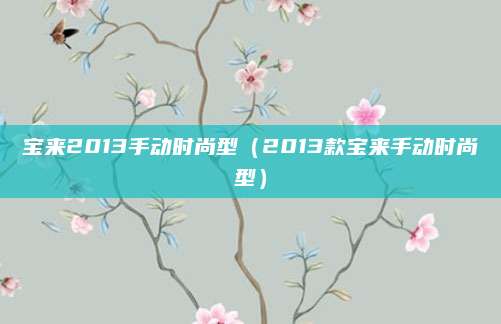 宝来2013手动时尚型(2013款宝来手动时尚型)