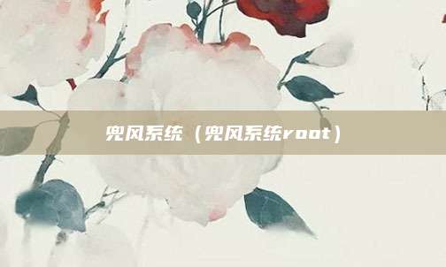 兜风系统(兜风系统root)