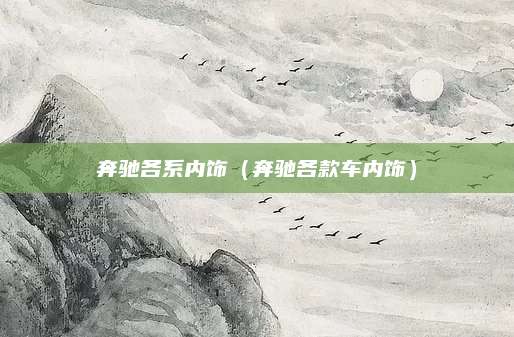 奔驰各系内饰(奔驰各款车内饰)