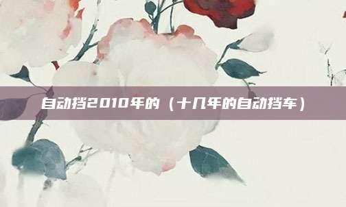 自动挡2010年的(十几年的自动挡车)