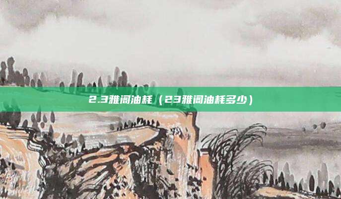 2.3雅阁油耗(23雅阁油耗多少)
