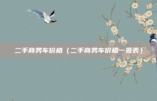 二手商务车价格(二手商务车价格一览表)