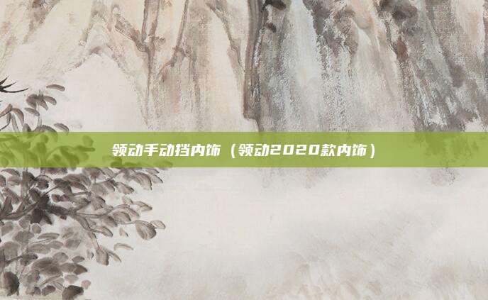 领动手动挡内饰（领动2020款内饰）