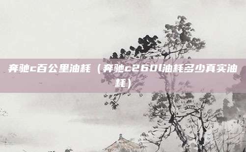 奔驰c百公里油耗(奔驰c260l油耗多少真实油耗)