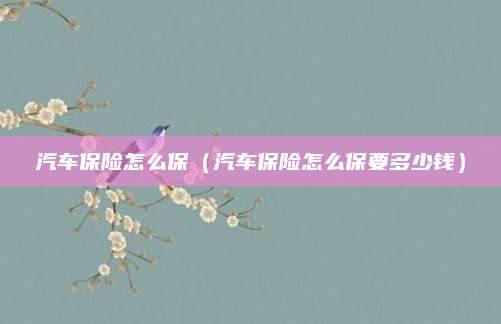 汽车保险怎么保(汽车保险怎么保要多少钱)