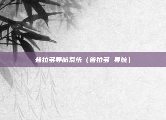 普拉多导航系统（普拉多 导航）