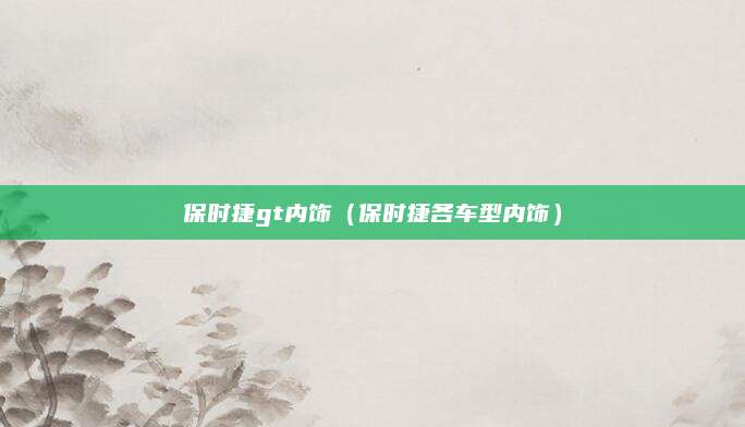 保时捷gt内饰(保时捷各车型内饰)