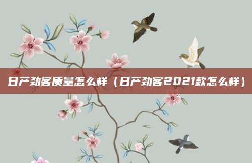 日产劲客质量怎么样(日产劲客2021款怎么样)