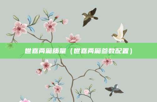 世嘉两厢质量(世嘉两厢参数配置)