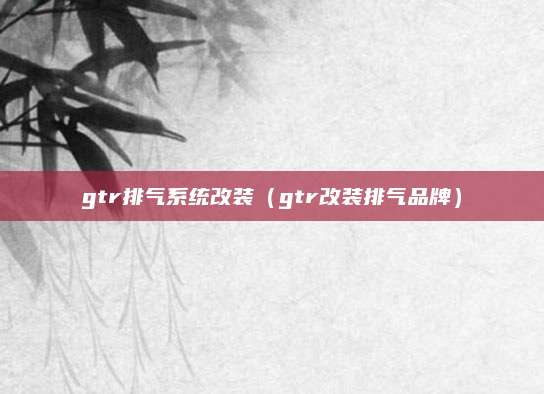 gtr排气系统改装(gtr改装排气品牌)