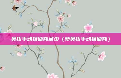 奥拓手动挡油耗多少(新奥拓手动挡油耗)