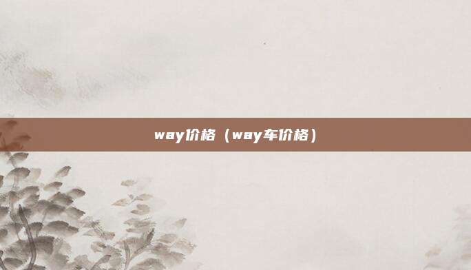 way价格（way车价格）