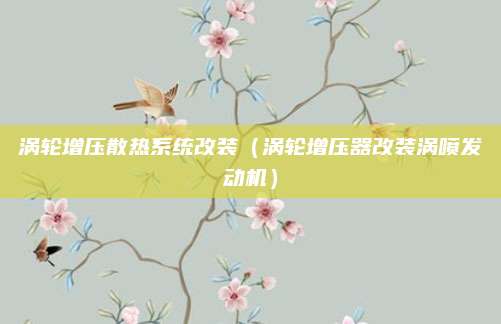 涡轮增压散热系统改装(涡轮增压器改装涡喷发动机)