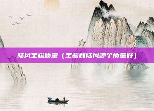 陆风宝骏质量(宝骏和陆风哪个质量好)