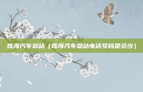 珠海汽车总站（珠海汽车总站电话号码是多少）