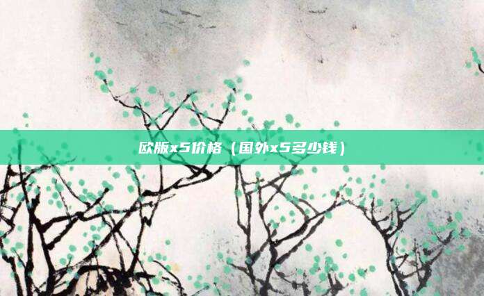 欧版x5价格(国外x5多少钱)