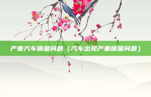 严重汽车质量问题(汽车出现严重质量问题)