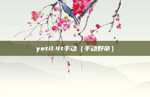yeti1.4t手动(手动野帝)